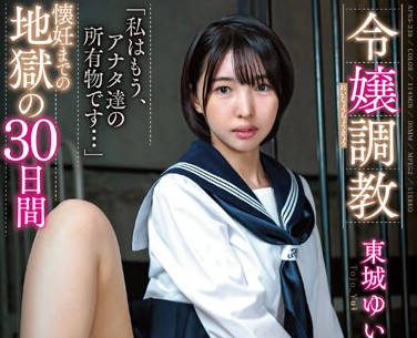 APNS-338 令嬢調教 懐妊までの地獄の30日間 東城ゆい