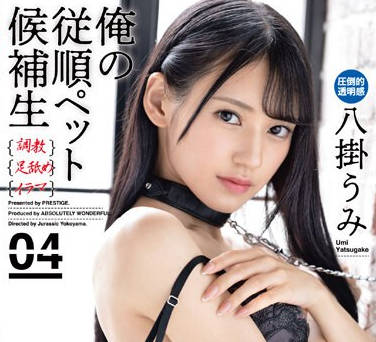 ABW-283-顺从宠物候补生-八掛海